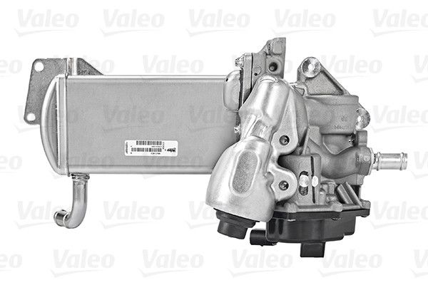 21_egr_module_700438_04